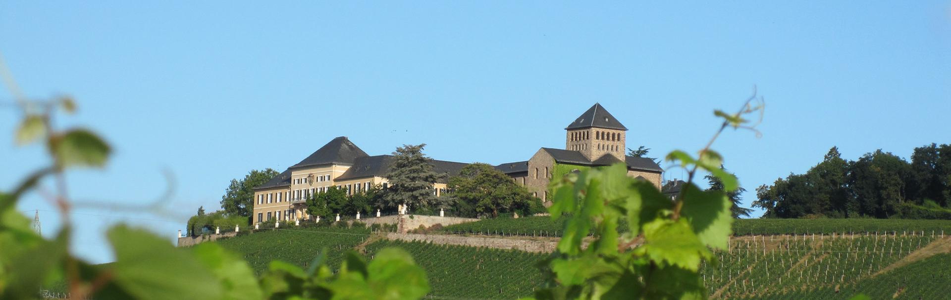 Schloss Johannisberg inmitten der Weinberge im Rheingau